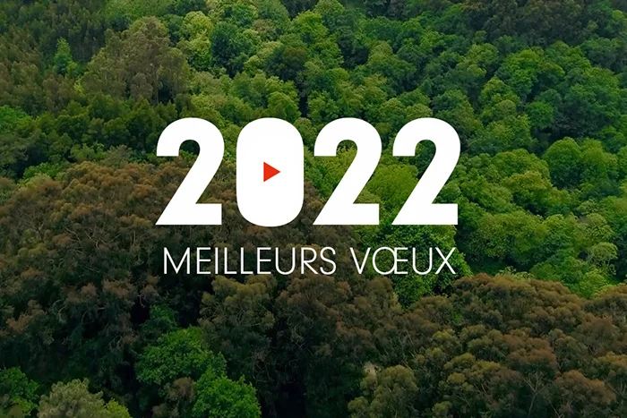 Visual representing a forest with the following message: 2022 Best wishes!
